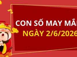 Con số may mắn hôm nay 2/6/2026 theo từng tuổi: Số may mắn giúp bạn phát tài