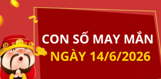 Con số may mắn hôm nay 14/6/2026 theo từng tuổi: Số cát lành giúp bạn đổi vận
