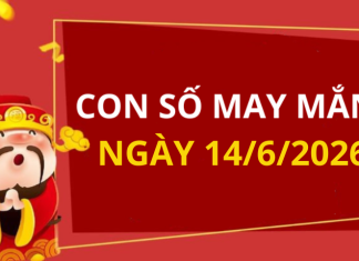 Con số may mắn hôm nay 14/6/2026 theo từng tuổi: Số cát lành giúp bạn đổi vận