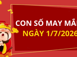 Con số may mắn hôm nay 1/7/2026 theo từng tuổi: Chọn số vàng cho tất cả các tuổi