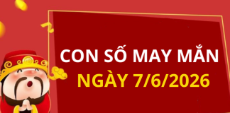 Con số may mắn hôm nay 7/6/2026 theo từng tuổi: Chọn đúng số phát tài