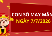 Con số may mắn hôm nay 7/7/2026 theo từng tuổi: Số may giúp bạn đón lộc