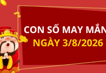 Con số may mắn hôm nay 3/8/2026 theo từng tuổi: Chọn đúng số giúp bạn phát tài