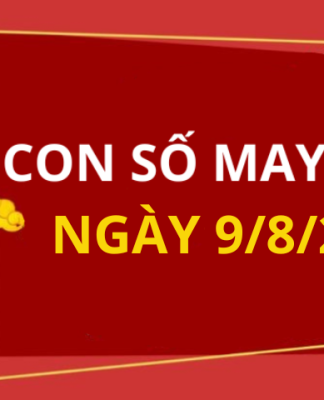 Con số may mắn hôm nay 9/8/2026 theo từng tuổi: Số thu hút tài lộc