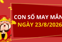 Con số may mắn hôm nay 23/8/2026 theo từng tuổi: Chọn đúng số phát tài