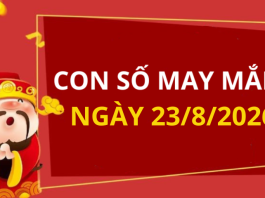 Con số may mắn hôm nay 23/8/2026 theo từng tuổi: Chọn đúng số phát tài