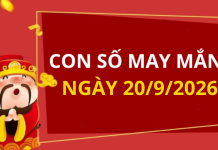 Con số may mắn hôm nay 20/9/2026 theo từng tuổi: Số hứng lộc cho ngày mới rộn ràng