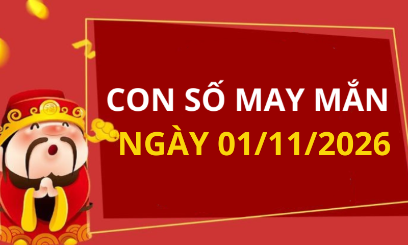 Con số may mắn hôm nay 1/11/2026 theo từng tuổi: Chọn số may giúp bạn đón lộc